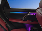 Lexus RX 2016-2022 Ambient Light